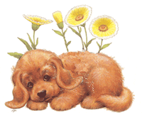 Bonjour  tout le monde